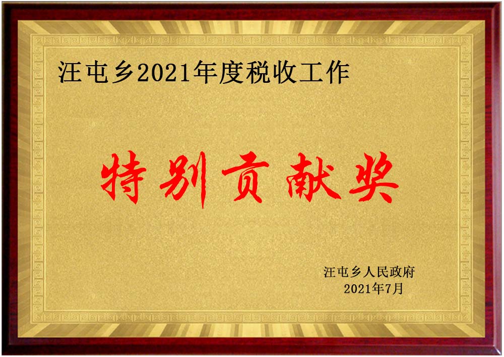 稅收特別貢獻(xiàn)（木質(zhì)獎牌）.jpg