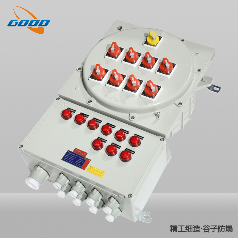 BXM(D)53系列防爆照明（動(dòng)力）配電箱（IIC）