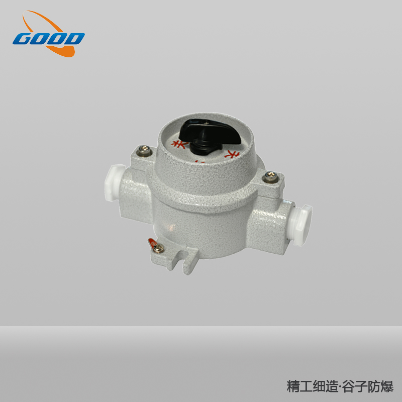 SW-10系列防爆照明開關(guān)