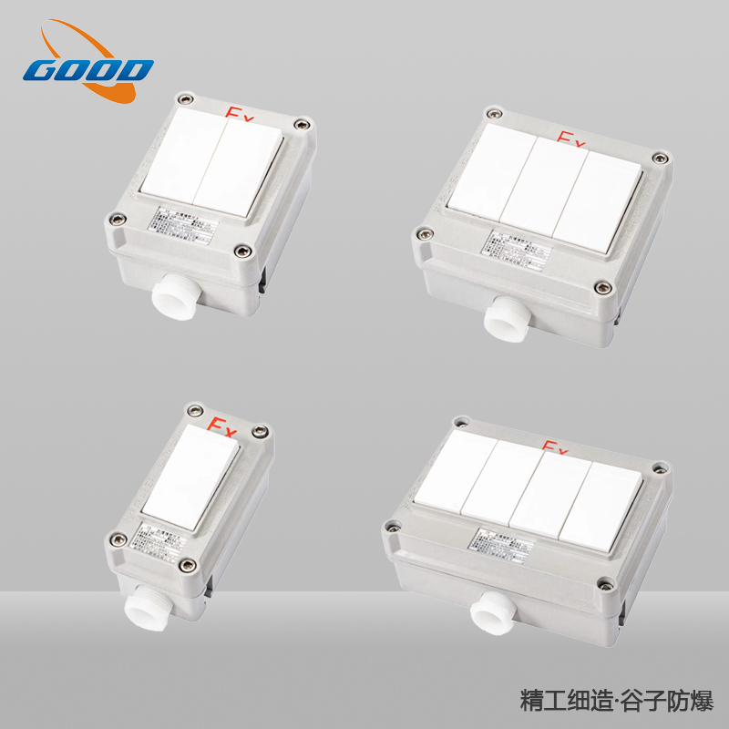 SW-10系列防爆照明開關(guān)（單聯(lián)、雙聯(lián)、三聯(lián)、四聯(lián)）
