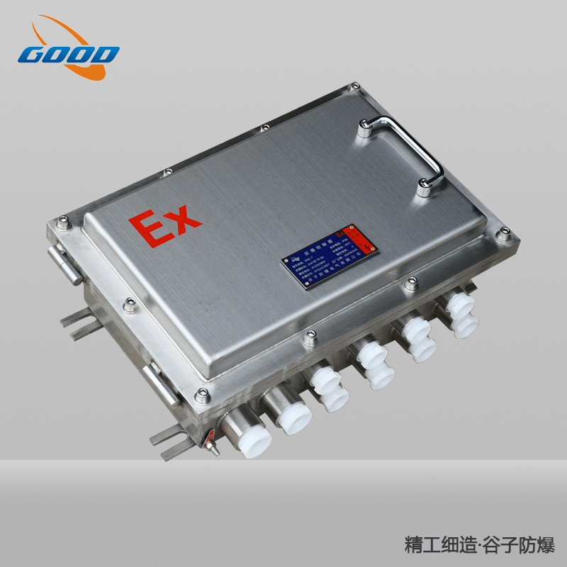 BXJ系列（304不銹鋼）防爆接線(xiàn)箱（IIB）