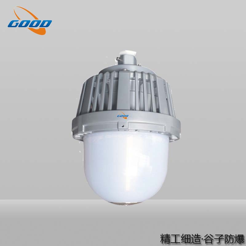 GZD203防水防震防眩燈