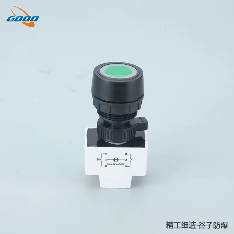 8030系列防爆帶燈按鈕