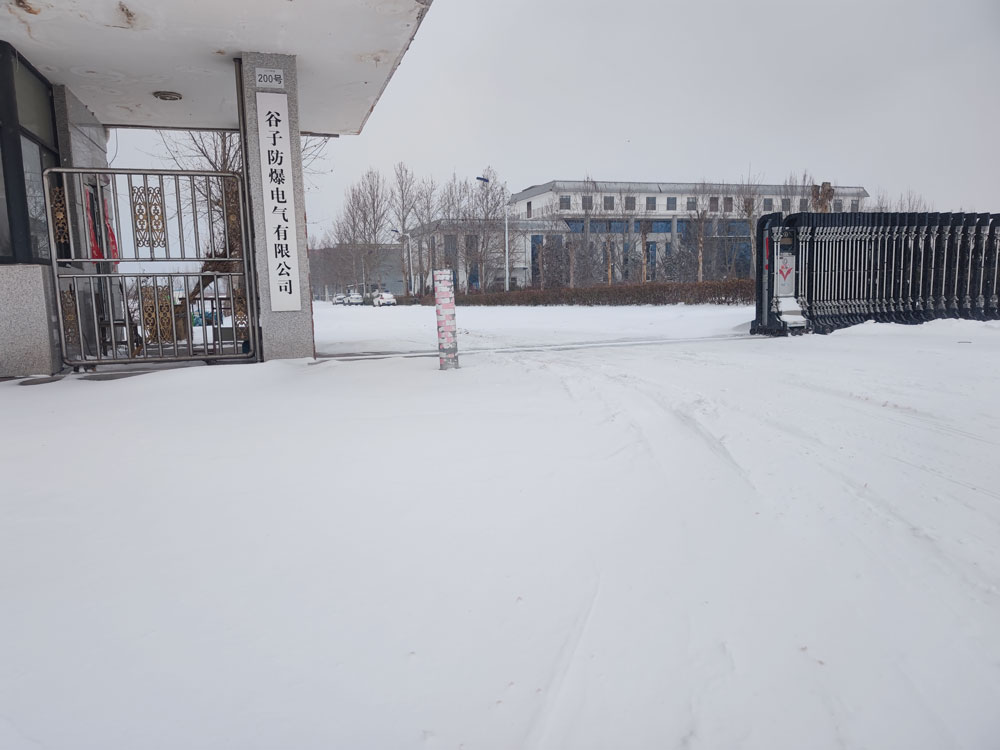 谷子防爆廠區(qū)北國(guó)風(fēng)光再現(xiàn)，千里冰封萬(wàn)里雪飄