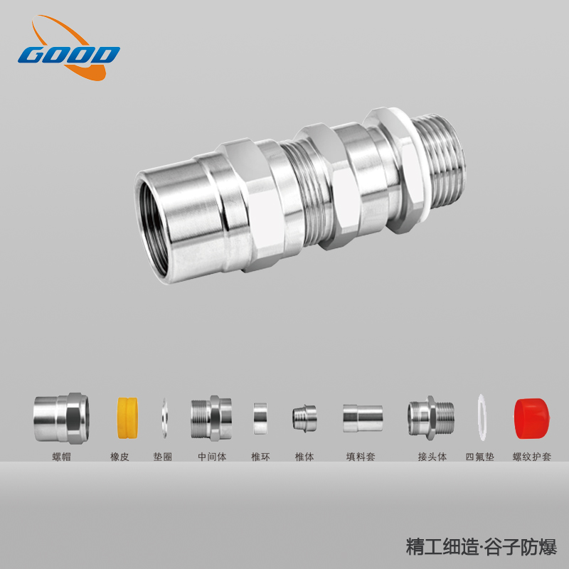 BDM-F（S）系列防爆（鎧裝）格蘭頭